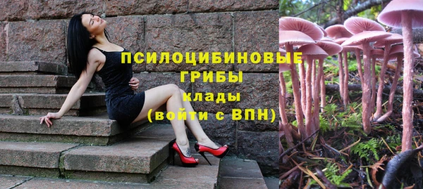 трава Михайловск