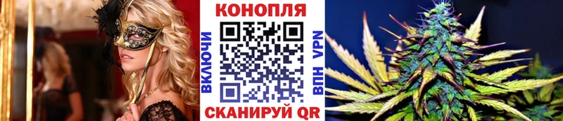 Бошки Шишки AK-47  Купить где  Кинель 